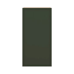 Modernform Cabinet Slim Sage Green 21" W X 42" H X 12" D Single Door Wall Cabinet