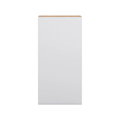 Modernform Cabinet Matte White 21" W X 42" H X 12" D Single Door Wall Cabinet