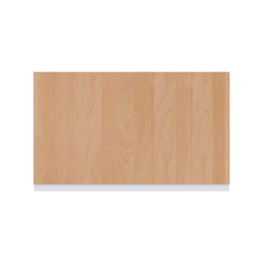 Modernform Cabinet Matte White 21" W X 42" H X 12" D Single Door Wall Cabinet