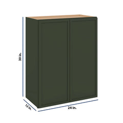 Modernform Cabinet Slim Sage Green 24" W X 30" H X 12" D Double Door Wall Cabinet
