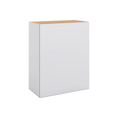 Modernform Cabinet Matte White 24" W X 30" H X 12" D Single Door Wall Cabinet