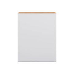 Modernform Cabinet Matte White 24" W X 30" H X 12" D Single Door Wall Cabinet