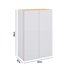 Modernform Cabinet Matte White 24" W X 36" H X 12" D Double Door Wall Cabinet