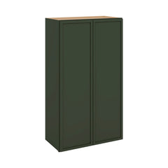 Modernform Cabinet Slim Sage Green 24" W X 42" H X 12" D Double Door Wall Cabinet