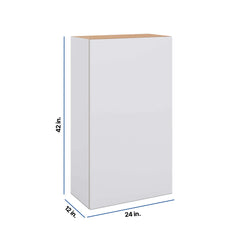 Modernform Cabinet Matte White 24" W X 42" H X 12" D Single Door Wall Cabinet