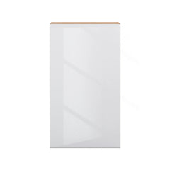 Modernform Cabinet Gloss White 24" W X 42" H X 12" D Single Door Wall Cabinet