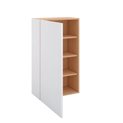 Modernform Cabinet Matte White 24" W X 42" H X 12" D Single Door Wall Cabinet