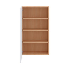 Modernform Cabinet Matte White 24" W X 42" H X 12" D Single Door Wall Cabinet