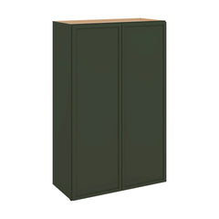 Modernform Cabinet Slim Sage Green 27" W X 42" H X 12" D Double Door Wall Cabinet