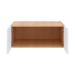 Modernform Cabinet Matte White 30" W X 12" H X 24" D Double Door Wall Cabinet