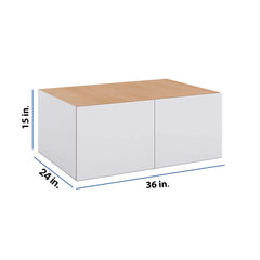 Modernform Cabinet Matte White 36" W X 15" H X 24" D Double Door Wall Cabinet