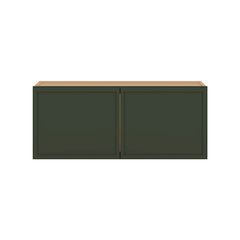 Modernform Cabinet Slim Sage Green 36" W X 15" H X 12" D Double Door Wall Cabinet