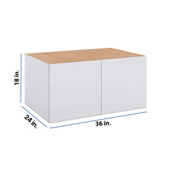 Modernform Cabinet Matte White 36" W X 18" H X 24" D Double Door Wall Cabinet