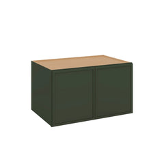 Modernform Cabinet Slim Sage Green 36" W X 21" H X 24" D Double Door Wall Cabinet