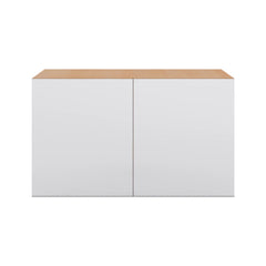 Modernform Cabinet Matte White 36" W X 21" H X 24" D Double Door Wall Cabinet