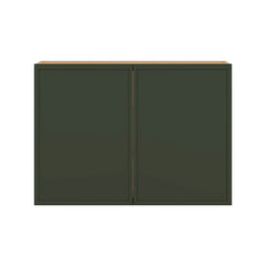 Modernform Cabinet Slim Sage Green 42" W X 30" H X 12" D Double Door Wall Cabinet