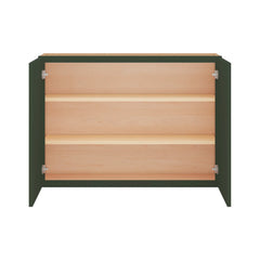 Modernform Cabinet Slim Sage Green 42" W X 30" H X 12" D Double Door Wall Cabinet
