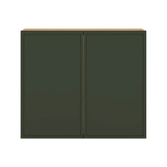 Modernform Cabinet Slim Sage Green 42" W X 36" H X 12" D Double Door Wall Cabinet