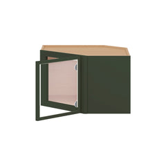 Modernform Cabinet Slim Sage Green 24" W X 15" H X 12" D Diagonal Corner Glass Door Wall Cabinet