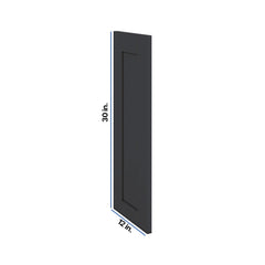 Modernform Cabinet Onyx Black Shaker 12" W X 30" H Wall Decorative Panel
