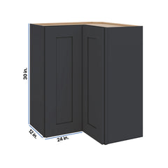 Modernform Cabinet Onyx Black Shaker 24" W X 30" H X 12" D Wall Easy Reach Cabinet