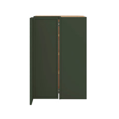 Modernform Cabinet Slim Sage Green 24" W X 36" H X 12" D Wall Easy Reach Cabinet