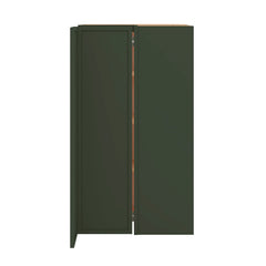 Modernform Cabinet Slim Sage Green 24" W X 42" H X 12" D Wall Easy Reach Cabinet
