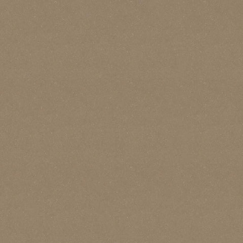 Eleganza Vision Fossil 12x12 Porcelain Tile - dollar0.79 sf