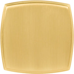 Renzo 1-3/4" Diameter Square Knob