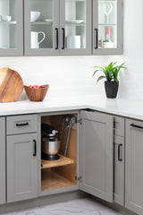 Soft-close Appliance Lift